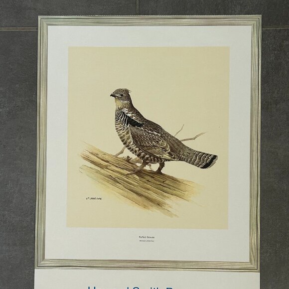 Vintage 1968 & 1969  Calendar Prints J.F. Lansdowne Birds - Picture 6 of 9
